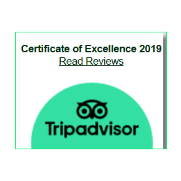 2019 - Trip Advisor